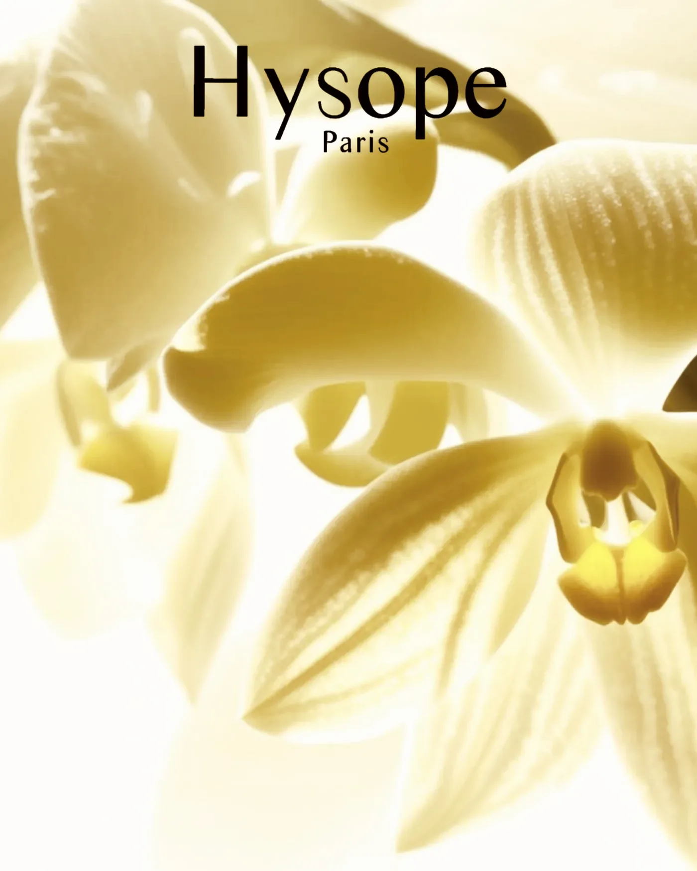 Expertise botanique Hysope Paris